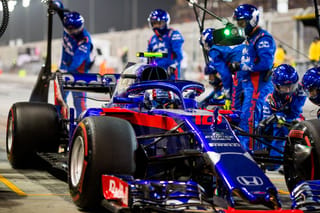 toro rosso