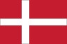 Kevin Magnussen Flag