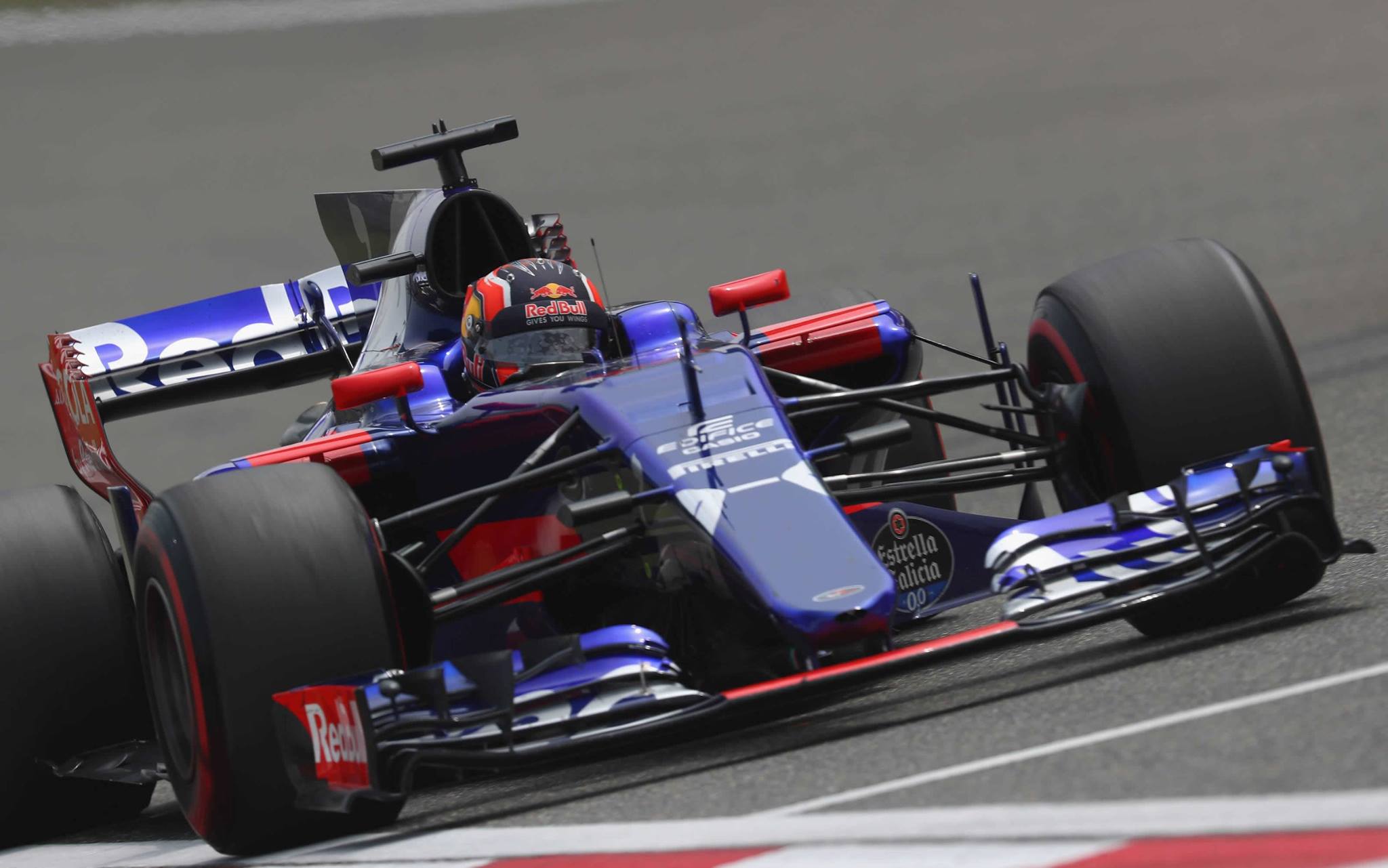 toro rosso 2