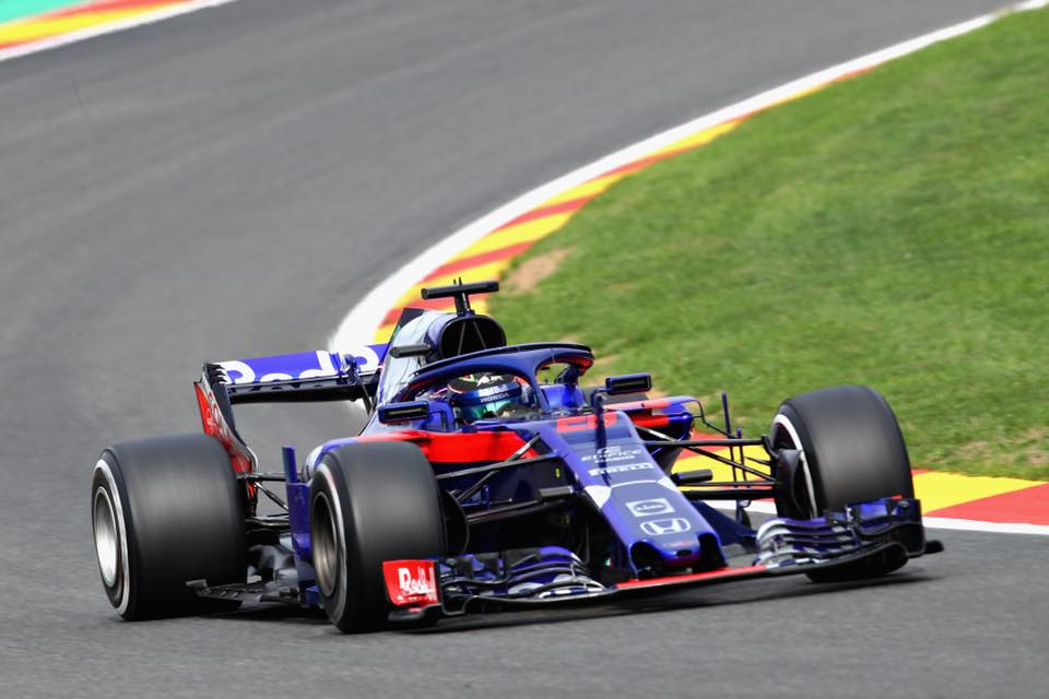 toro rosso hartley