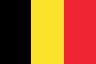 Stoffel Vandoorne Flag
