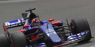 toro rosso 2