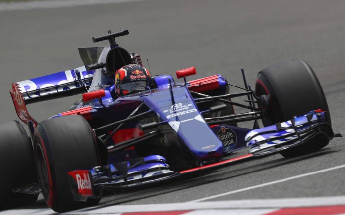 toro rosso 2