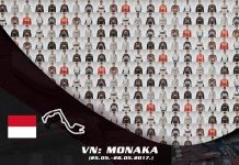 Analiza VN Monaka