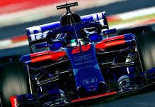 toro rosso