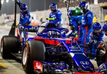 toro rosso