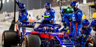 toro rosso