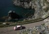 wrc francuska