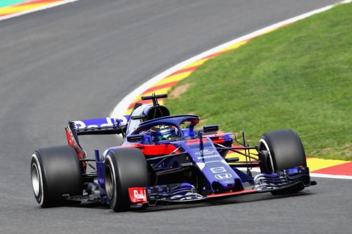 toro rosso hartley